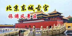操尤物视频中国北京-东城古宫旅游风景区